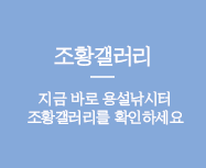 조황갤러리 지금 바로 용설낚시터 조황갤러리를 확인하세요
